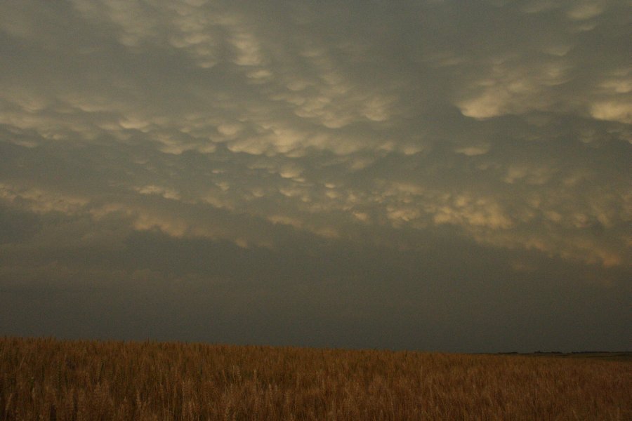 mammatus mammatus_cloud : SE of Kinsley, Kansas, USA   29 May 2006