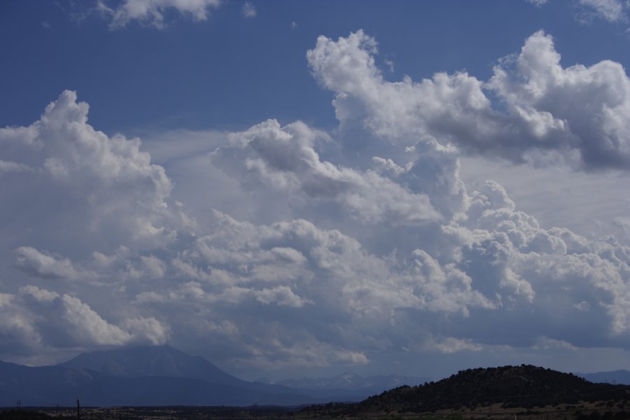 cumulus congestus : Pueblo, Colorado, USA   1 June 2006