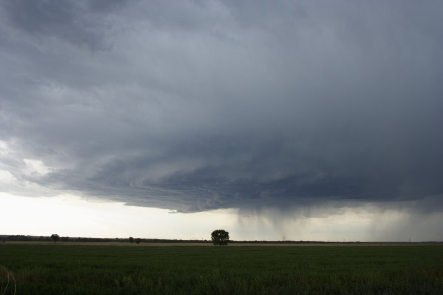 cumulonimbus thunderstorm_base : Scottsbluff, Nebraska, USA   10 June 2006