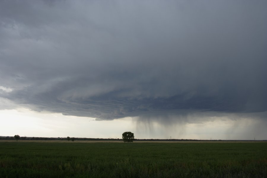 cumulonimbus supercell_thunderstorm : Scottsbluff, Nebraska, USA   10 June 2006