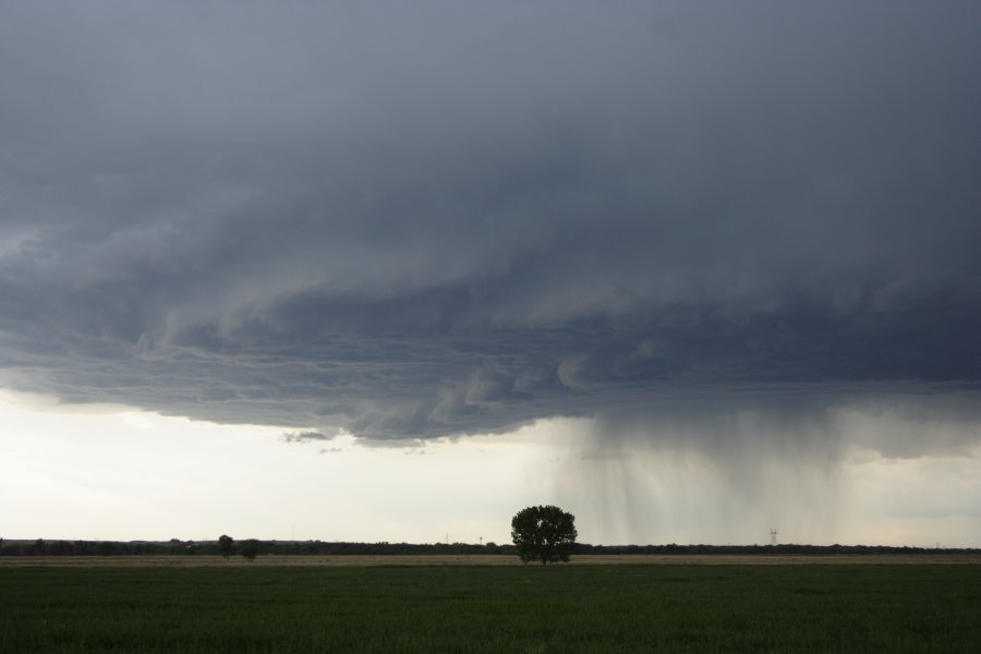 cumulonimbus thunderstorm_base : Scottsbluff, Nebraska, USA   10 June 2006