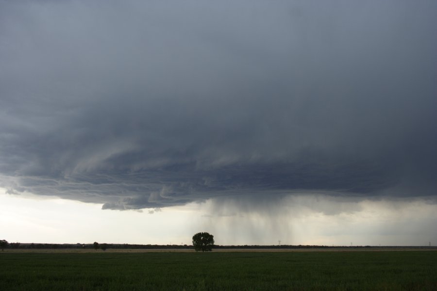 cumulonimbus thunderstorm_base : Scottsbluff, Nebraska, USA   10 June 2006