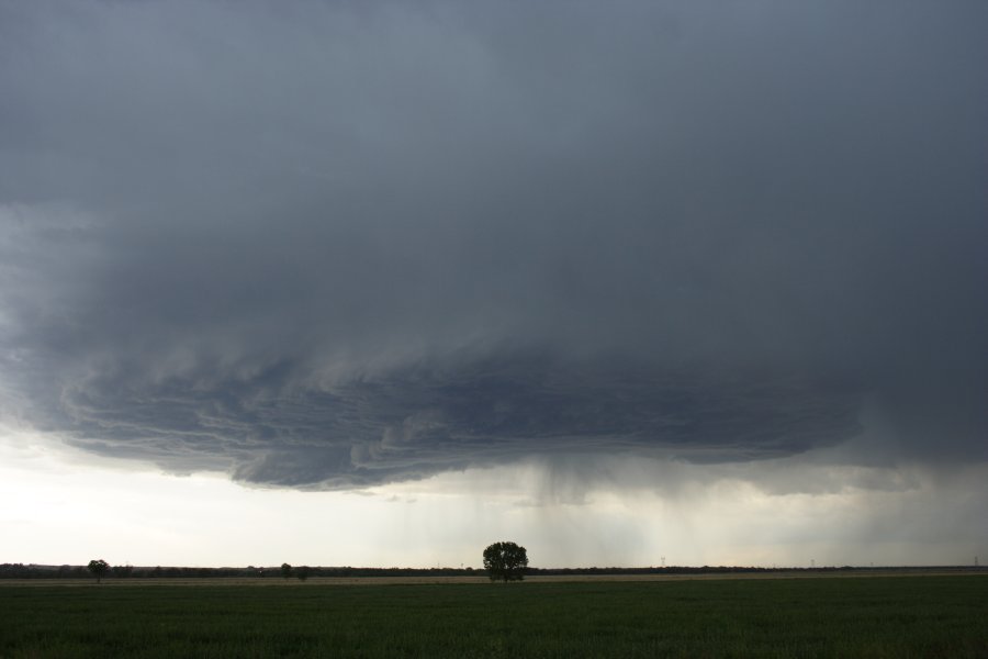 cumulonimbus thunderstorm_base : Scottsbluff, Nebraska, USA   10 June 2006