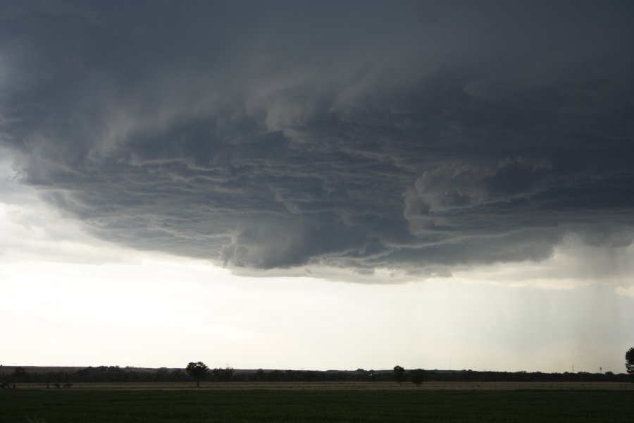 cumulonimbus thunderstorm_base : Scottsbluff, Nebraska, USA   10 June 2006