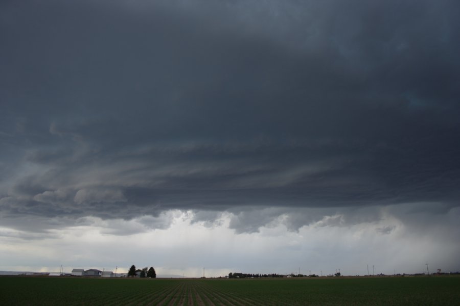 cumulonimbus thunderstorm_base : Scottsbluff, Nebraska, USA   10 June 2006