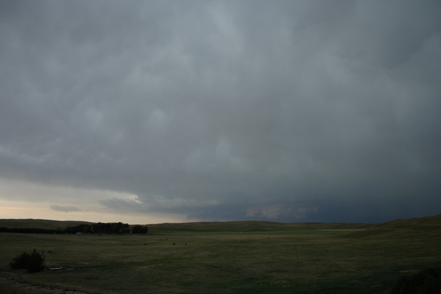 mammatus mammatus_cloud : N of Authur, Nebraska, USA   10 June 2006