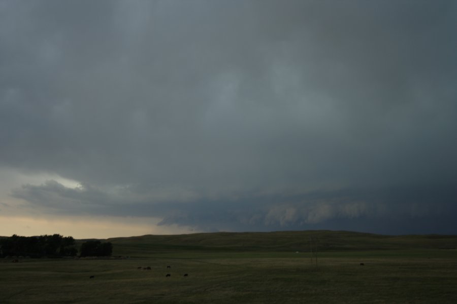 cumulonimbus thunderstorm_base : N of Authur, Nebraska, USA   10 June 2006