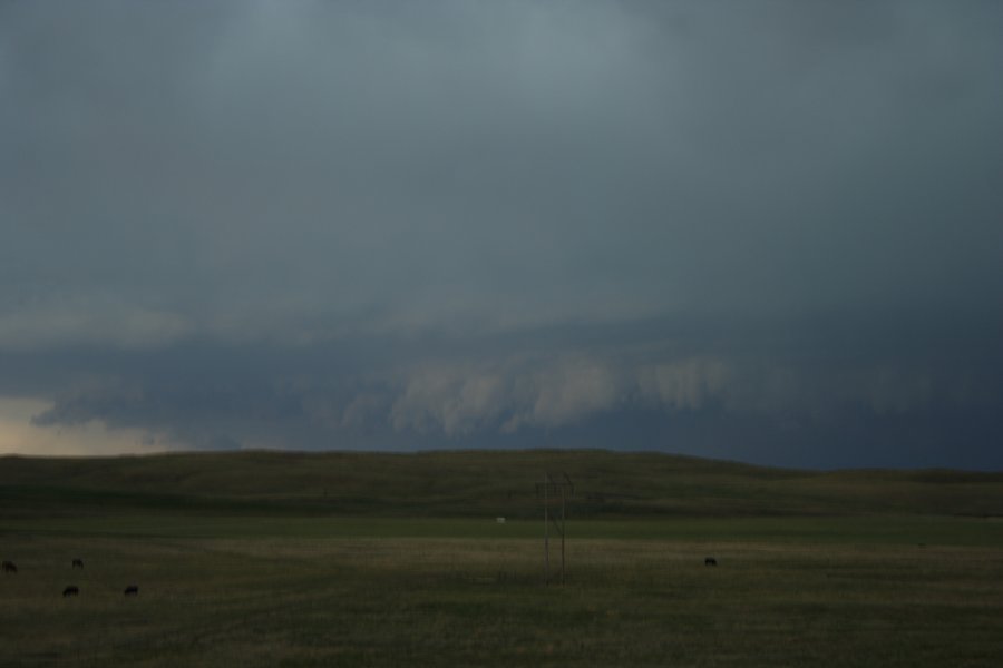 cumulonimbus thunderstorm_base : N of Authur, Nebraska, USA   10 June 2006