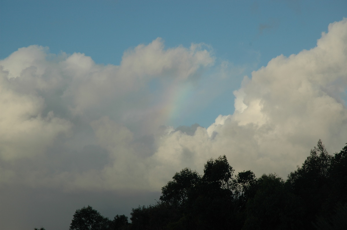 rainbow rainbow_pictures : McLeans Ridges, NSW   17 June 2006