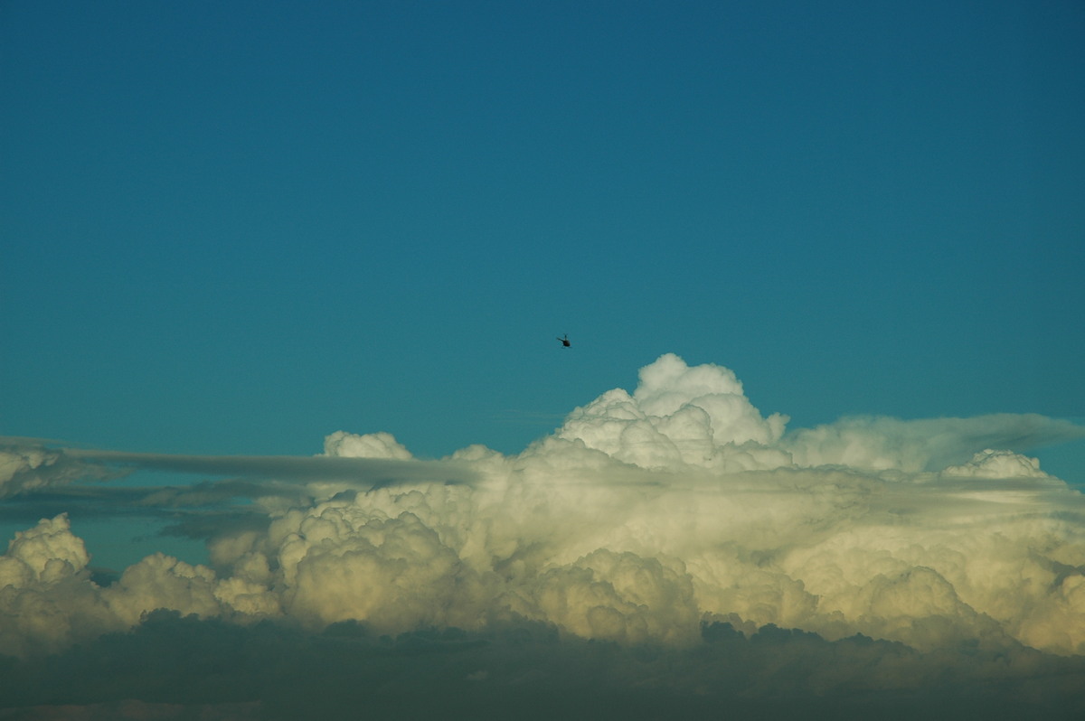 cumulus congestus : Coolangatta, QLD   3 August 2006