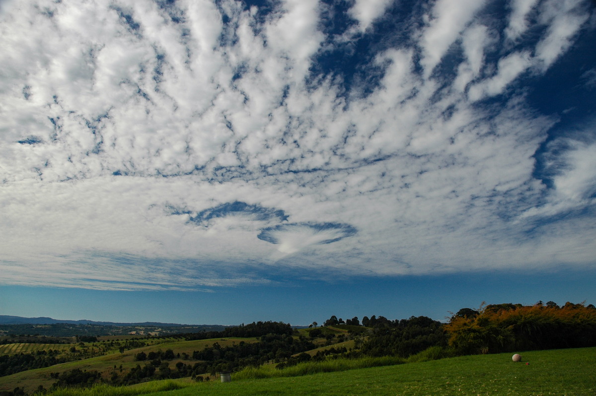 favourites michael_bath : McLeans Ridges, NSW   17 August 2006