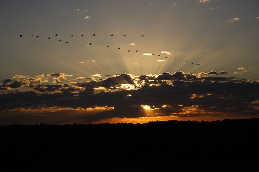 sunrise sunrise_pictures : Schofields, NSW   18 August 2006