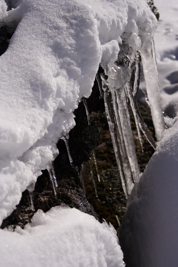 snow snow_pictures : Perisher Valley, NSW   20 August 2006