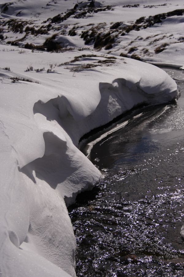 snow snow_pictures : Perisher Valley, NSW   20 August 2006