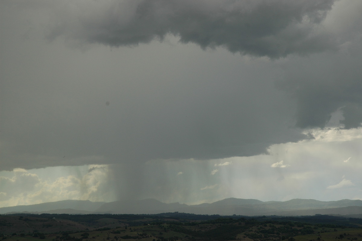 raincascade precipitation_cascade : McLeans Ridges, NSW   4 September 2006