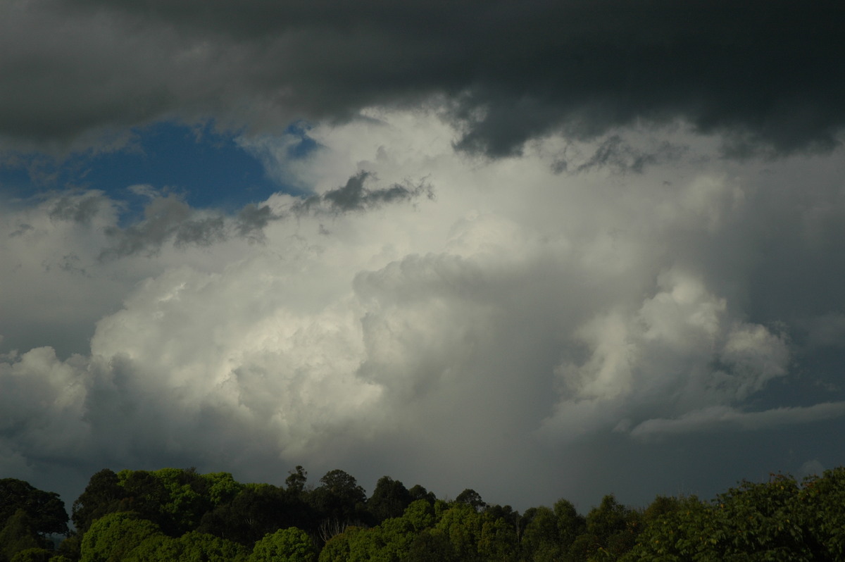 thunderstorm cumulonimbus_calvus : McLeans Ridges, NSW   4 September 2006