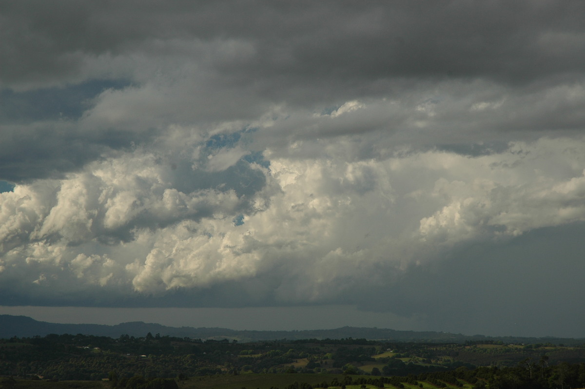 thunderstorm cumulonimbus_calvus : McLeans Ridges, NSW   4 September 2006