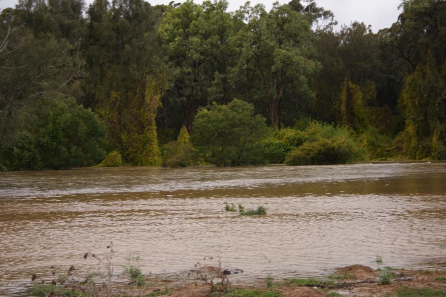 flashflooding flood_pictures : Schofields, NSW   7 September 2006