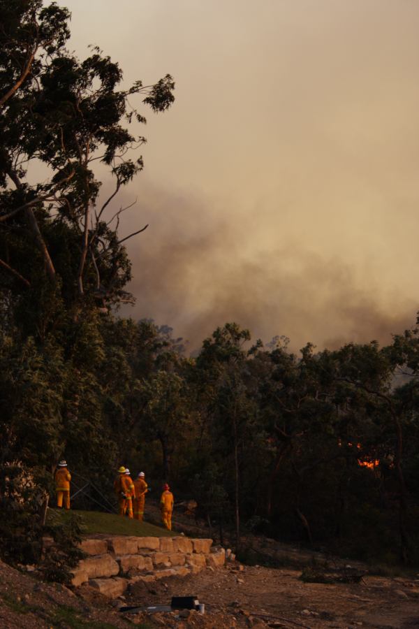 bushfire wild_fire : Pacific Park, NSW   24 September 2006