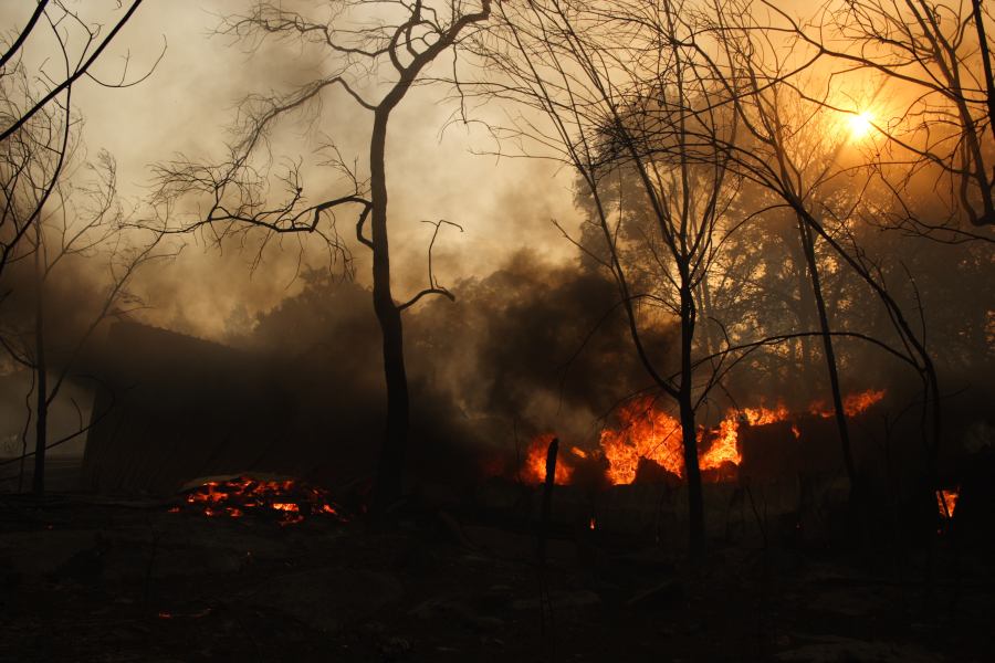 bushfire wild_fire : Pacific Park, NSW   24 September 2006