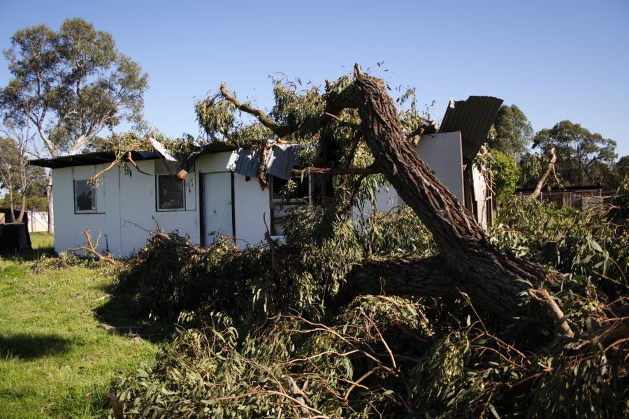 disasters storm_damage : Londonderry, NSW   25 September 2006