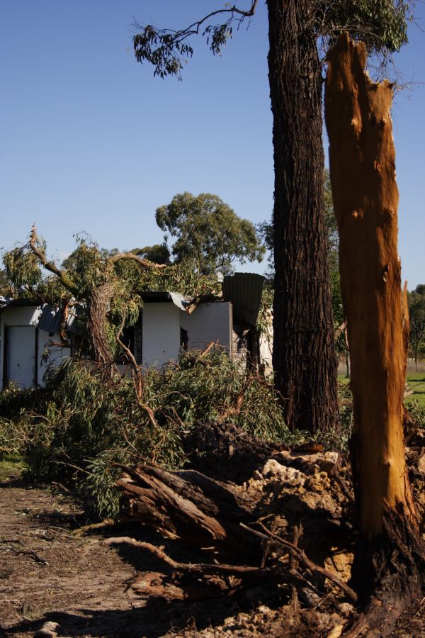 disasters storm_damage : Londonderry, NSW   25 September 2006