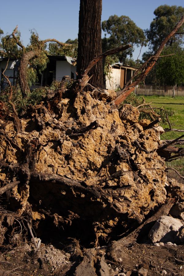 disasters storm_damage : Londonderry, NSW   25 September 2006