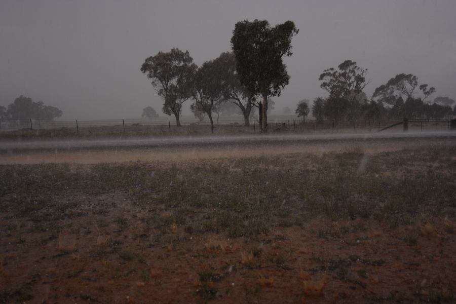 hailstones hail_stones : Walcha, NSW   19 October 2006