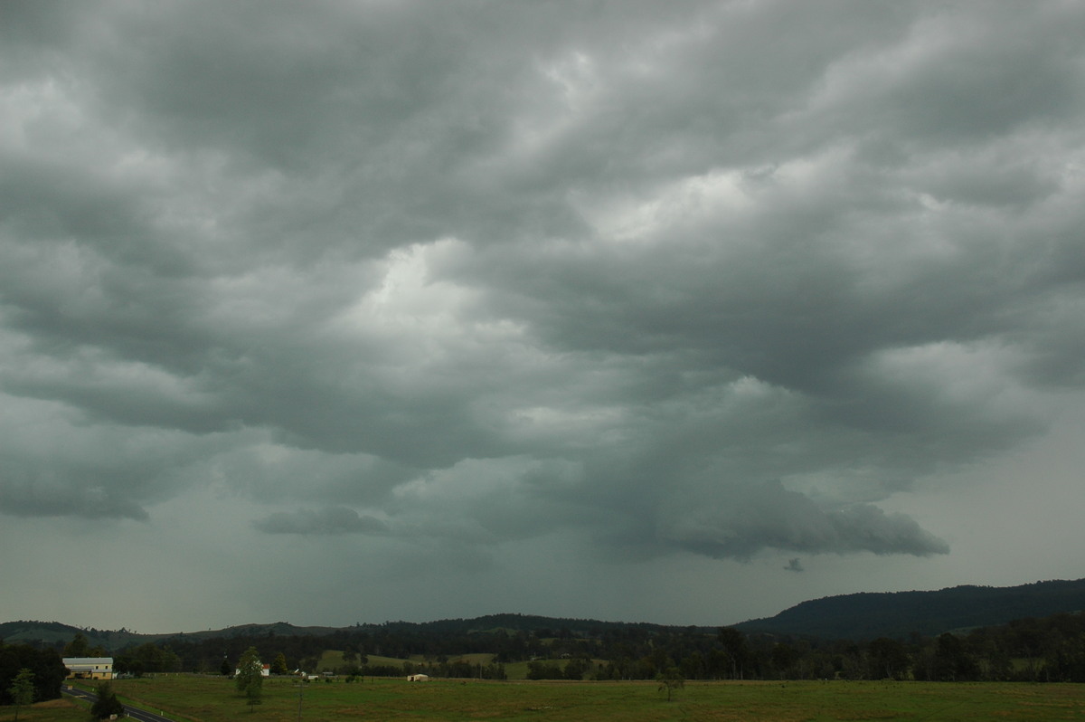 cumulonimbus thunderstorm_base : Mummulgum, NSW   19 October 2006