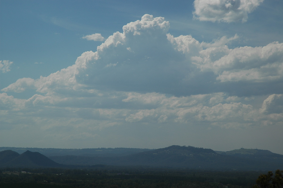 cumulus mediocris : Glasshouse Mountains, QLD   28 October 2006