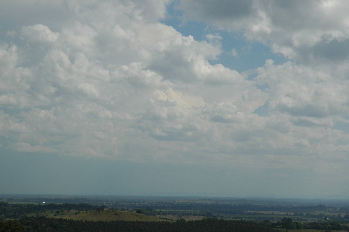 thunderstorm cumulonimbus_incus : Parrots Nest, NSW   1 November 2006