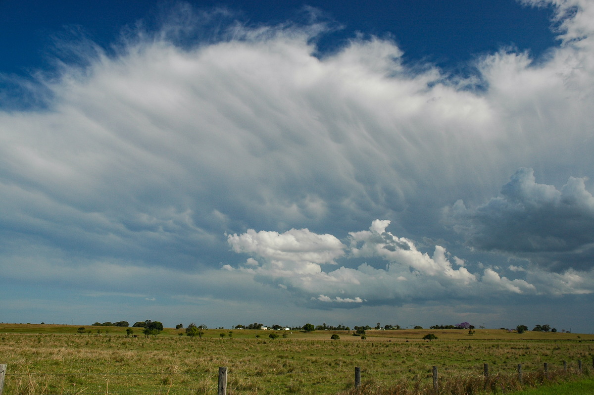 anvil thunderstorm_anvils : McKees Hill, NSW   1 November 2006