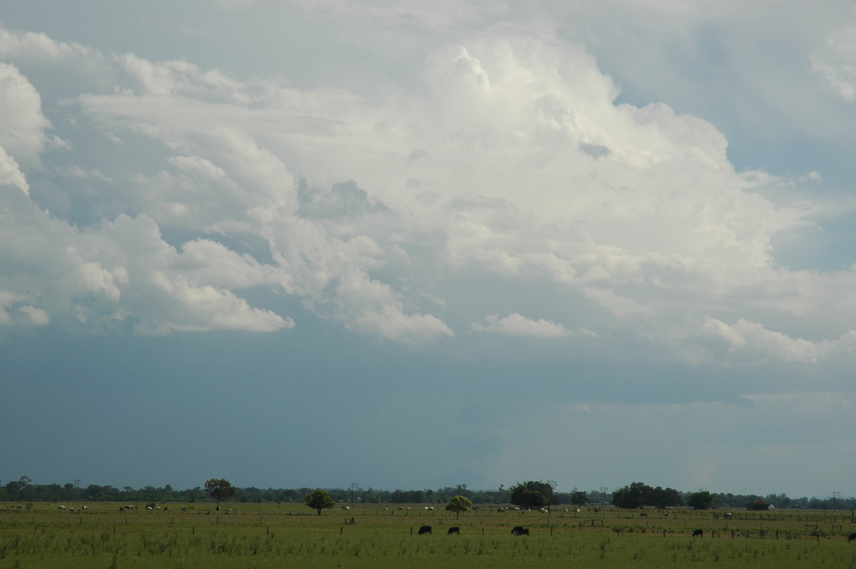 cumulonimbus thunderstorm_base : McKees Hill, NSW   1 November 2006