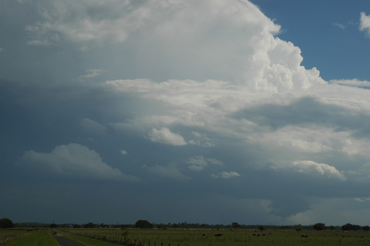 thunderstorm cumulonimbus_incus : McKees Hill, NSW   1 November 2006