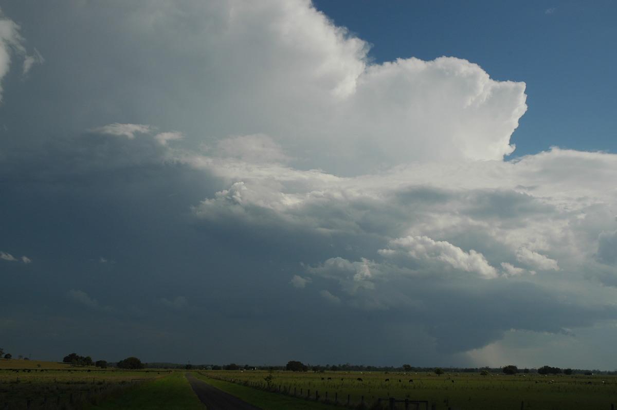 wallcloud thunderstorm_wall_cloud : McKees Hill, NSW   1 November 2006