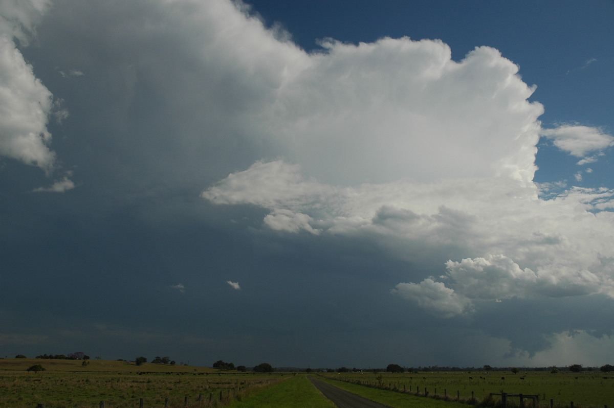 wallcloud thunderstorm_wall_cloud : McKees Hill, NSW   1 November 2006