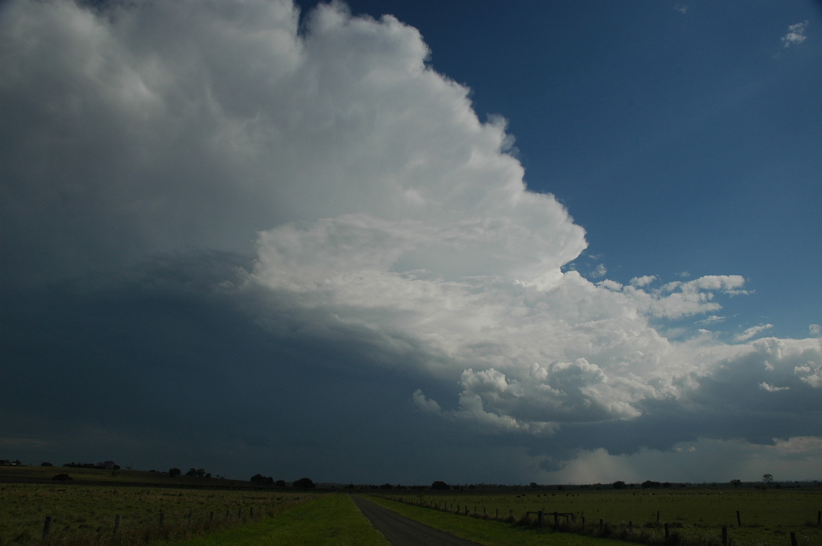 wallcloud thunderstorm_wall_cloud : McKees Hill, NSW   1 November 2006