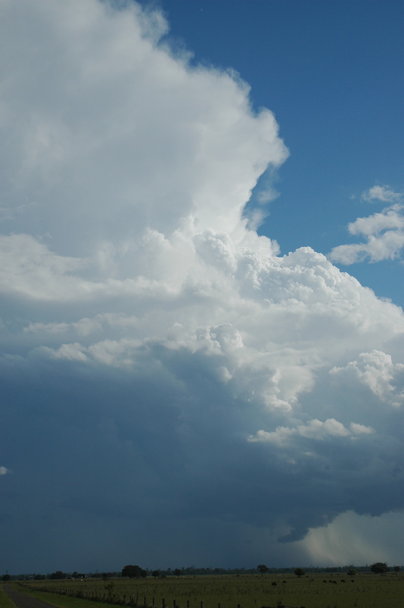 updraft thunderstorm_updrafts : McKees Hill, NSW   1 November 2006