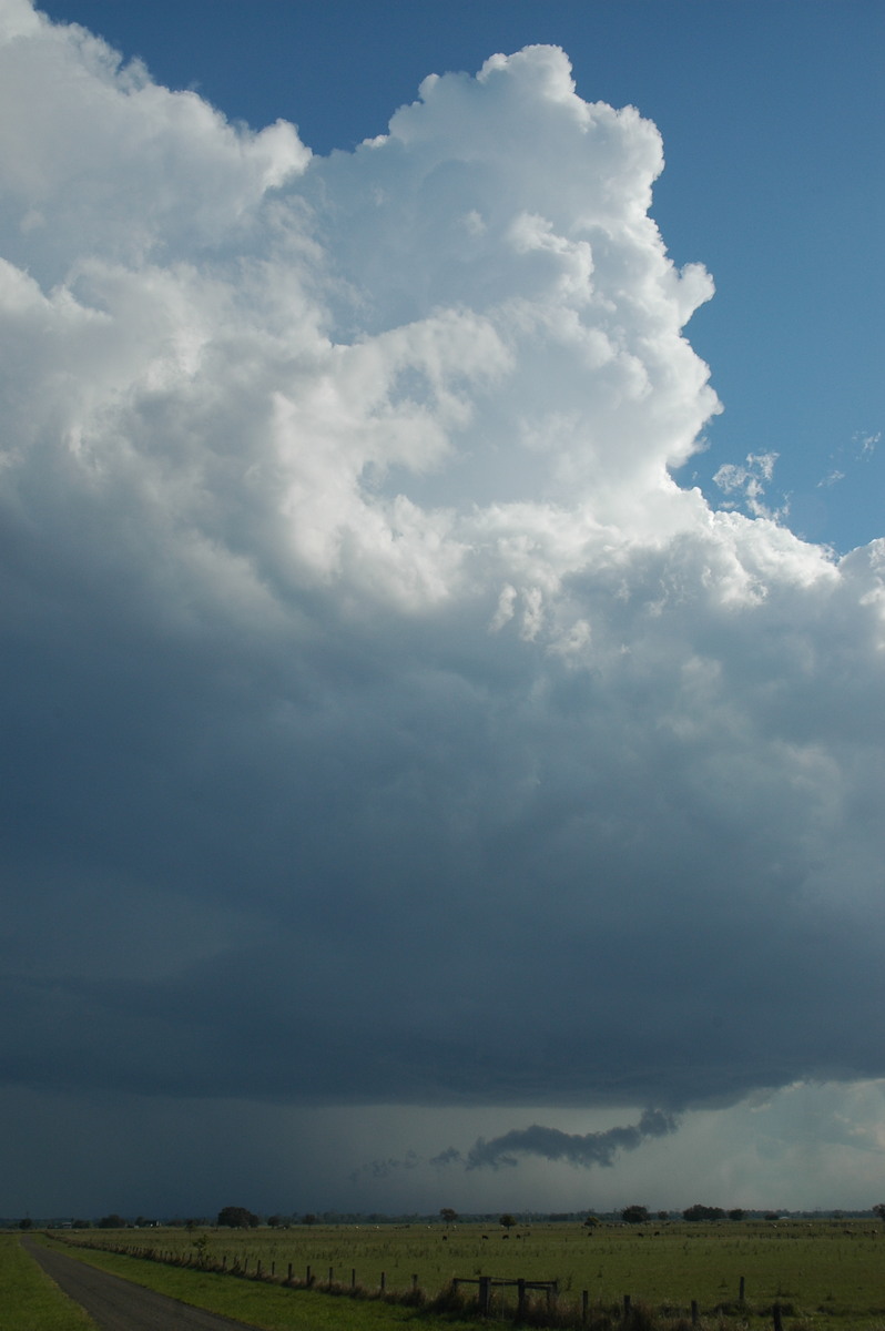 updraft thunderstorm_updrafts : McKees Hill, NSW   1 November 2006