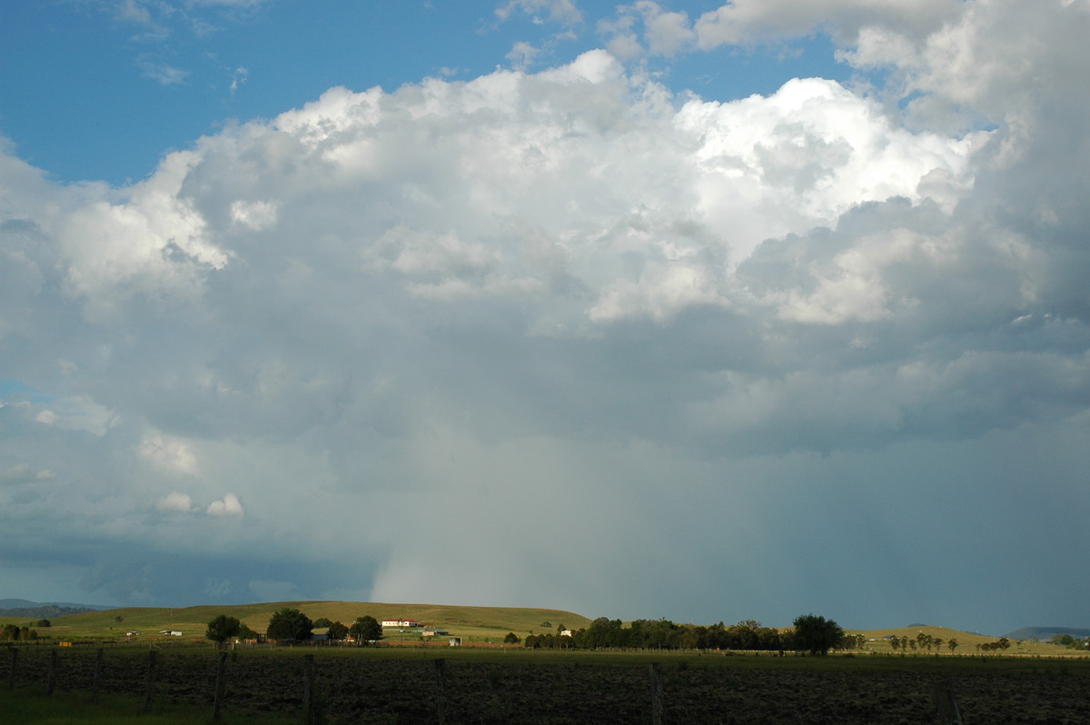 thunderstorm cumulonimbus_calvus : N of Casino, NSW   1 November 2006