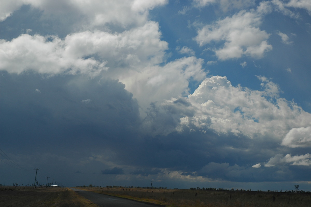 cumulus congestus : Dalby, QLD   4 November 2006