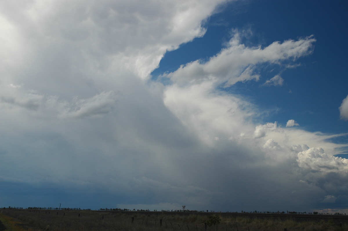 anvil thunderstorm_anvils : Dalby, QLD   4 November 2006