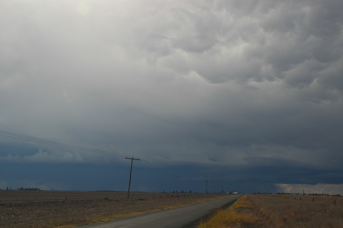 cumulonimbus thunderstorm_base : Dalby, QLD   4 November 2006