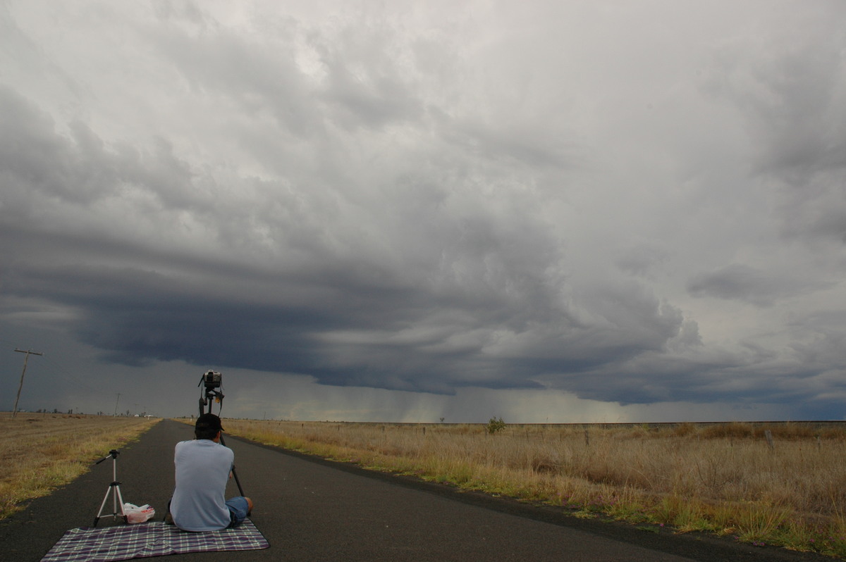 cumulonimbus thunderstorm_base : Dalby, QLD   4 November 2006