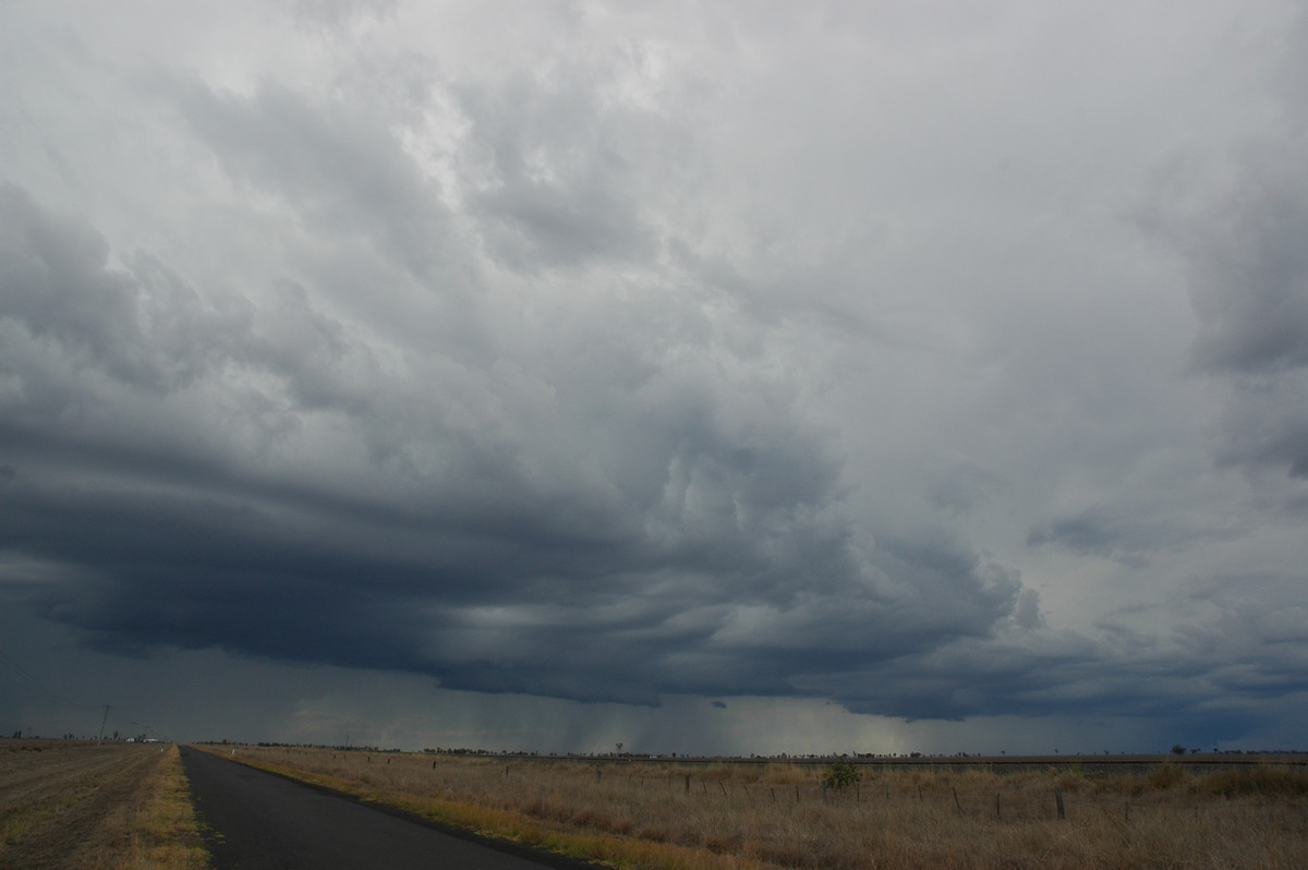 cumulonimbus thunderstorm_base : Dalby, QLD   4 November 2006