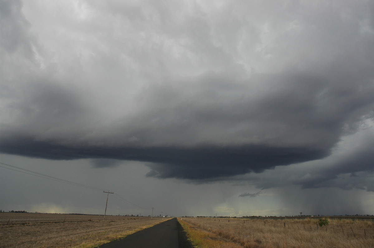 cumulonimbus thunderstorm_base : Dalby, QLD   4 November 2006