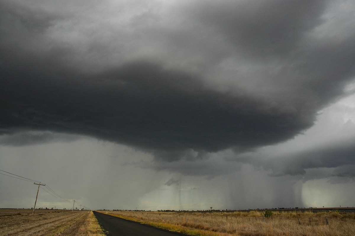 favourites michael_bath : Dalby, QLD   4 November 2006