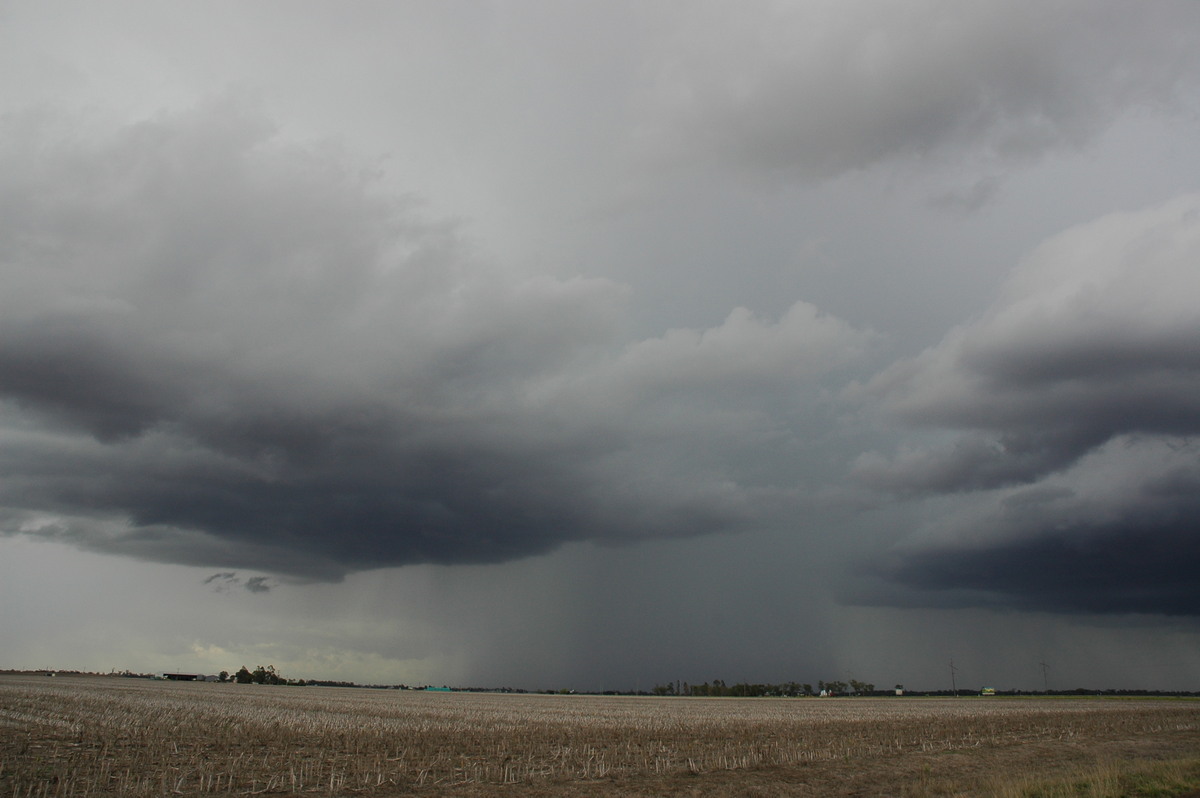 raincascade precipitation_cascade : Dalby, QLD   4 November 2006