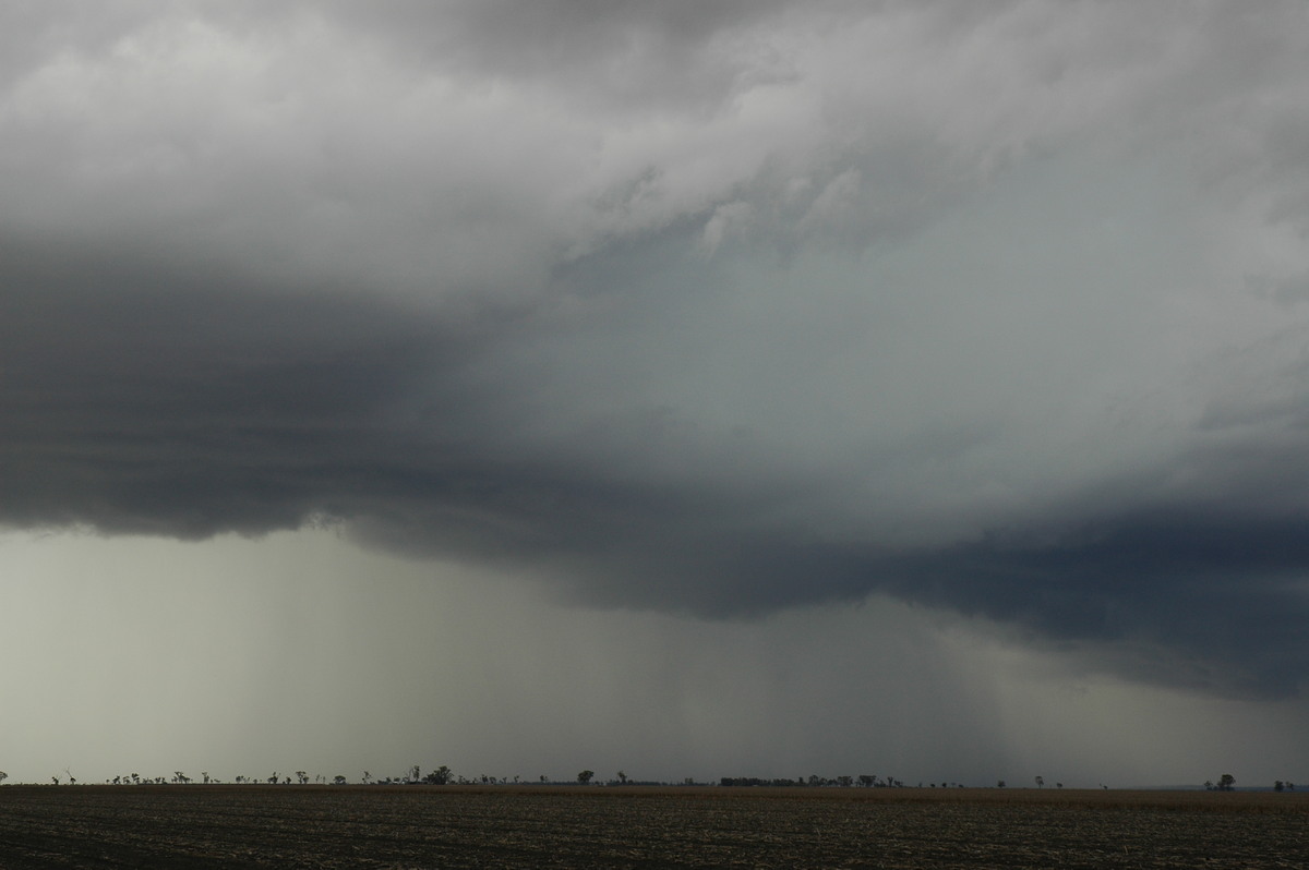 cumulonimbus thunderstorm_base : near Dalby, QLD   4 November 2006