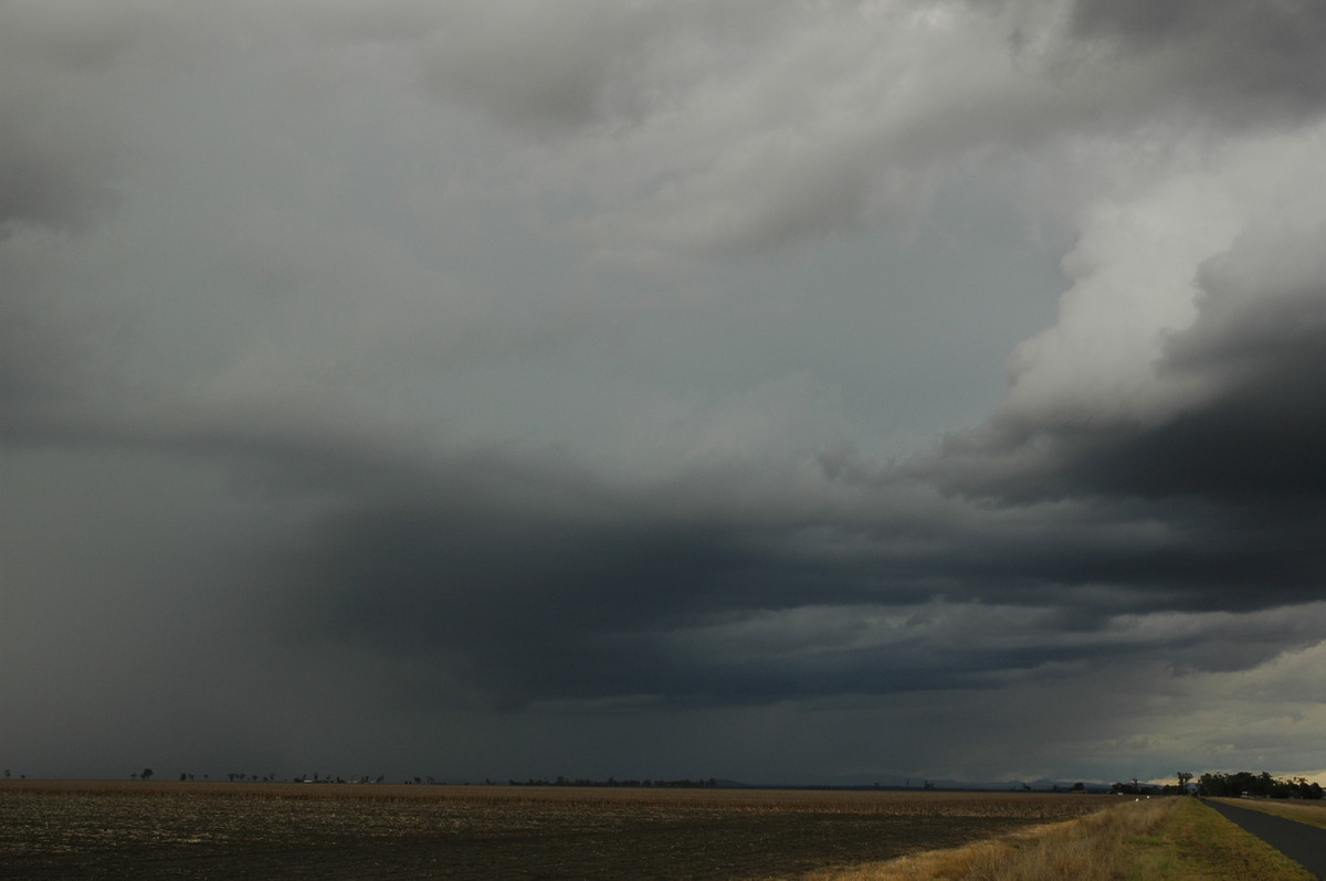 cumulonimbus thunderstorm_base : near Dalby, QLD   4 November 2006